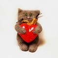 Кот с сердцем